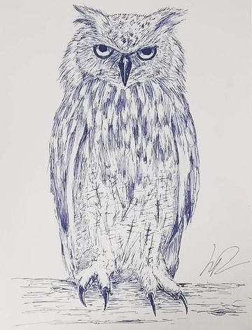 Owl by Joinemm Dceotbp Pre